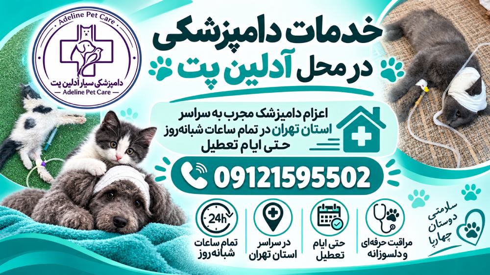 دامپزشکی آدلین پت