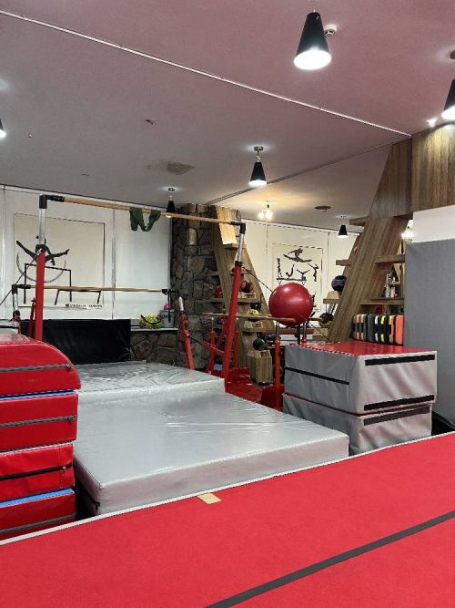 آکادمی تخصصی ژیمناستیک آناهاتا