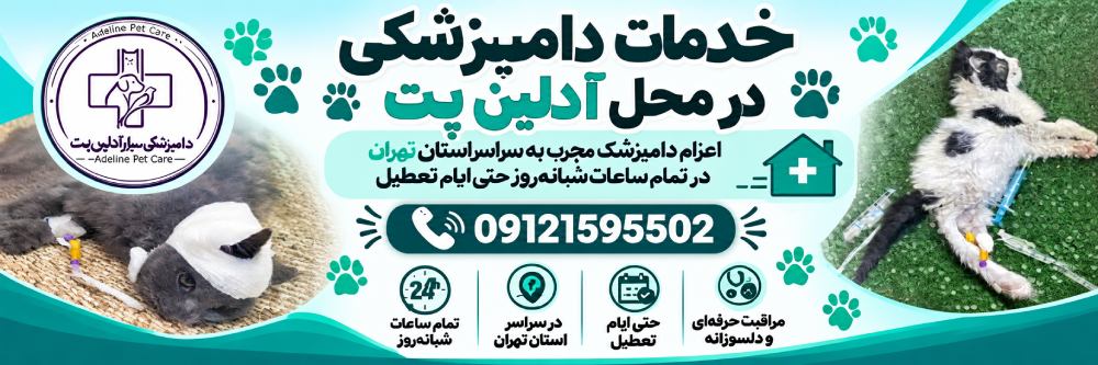دامپزشک سیار آدلین پت